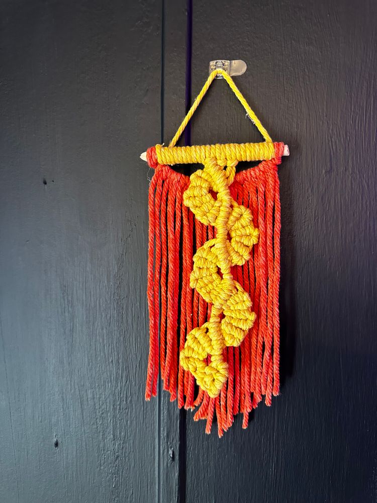 Vine Macrame Wall Hanging